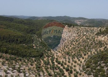 terreno - Terreno agricolo Località' Macerelle, Vieste - foto 25