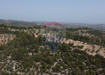 terreno - Terreno agricolo Località' Macerelle, Vieste - foto 27