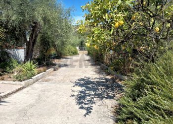 Giardino - Villa Località Santa Maria di Merino
 
3, Vieste - foto 15