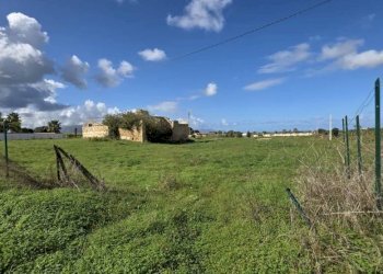 Foto 3 - Rustico ss 113, Partinico - foto 3