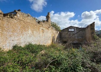 Foto 5 - Rustico ss 113, Partinico - foto 5