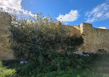 Foto 6 - Rustico ss 113, Partinico - foto 6