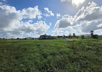 Foto 10 - Rustico ss 113, Partinico - foto 10