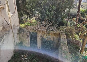 Foto 23 - Villa Piazza Perticari
 
1, San Costanzo - foto 23