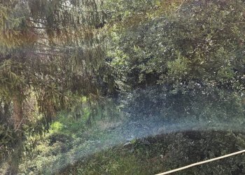 Foto 33 - Villa Piazza Perticari
 
1, San Costanzo - foto 33