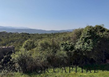 Foto 9 - Rustico Via Montilongu, Trinità d'Agultu e Vignola - foto 9