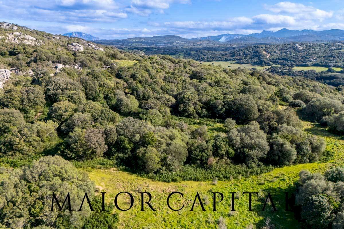 Foto 1 - Terreno agricolo Via Macciunitta, Arzachena - foto 1