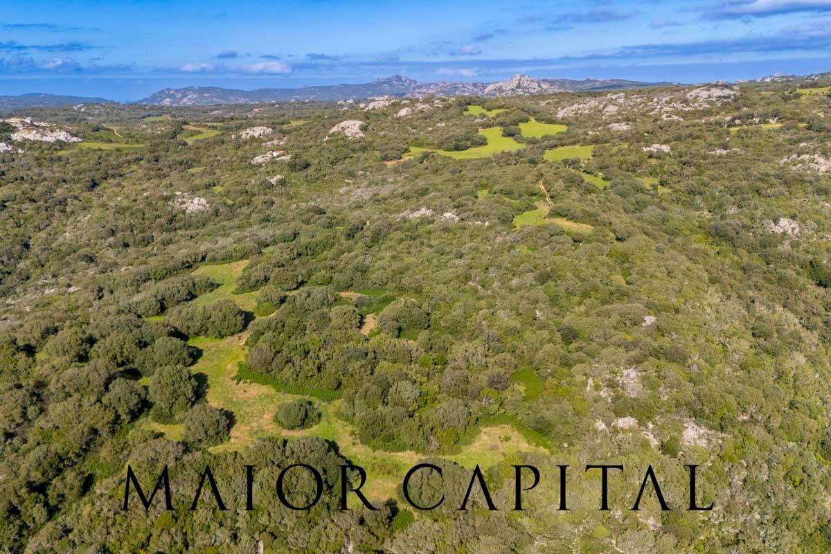 Foto 2 - Terreno agricolo Via Macciunitta, Arzachena - foto 2