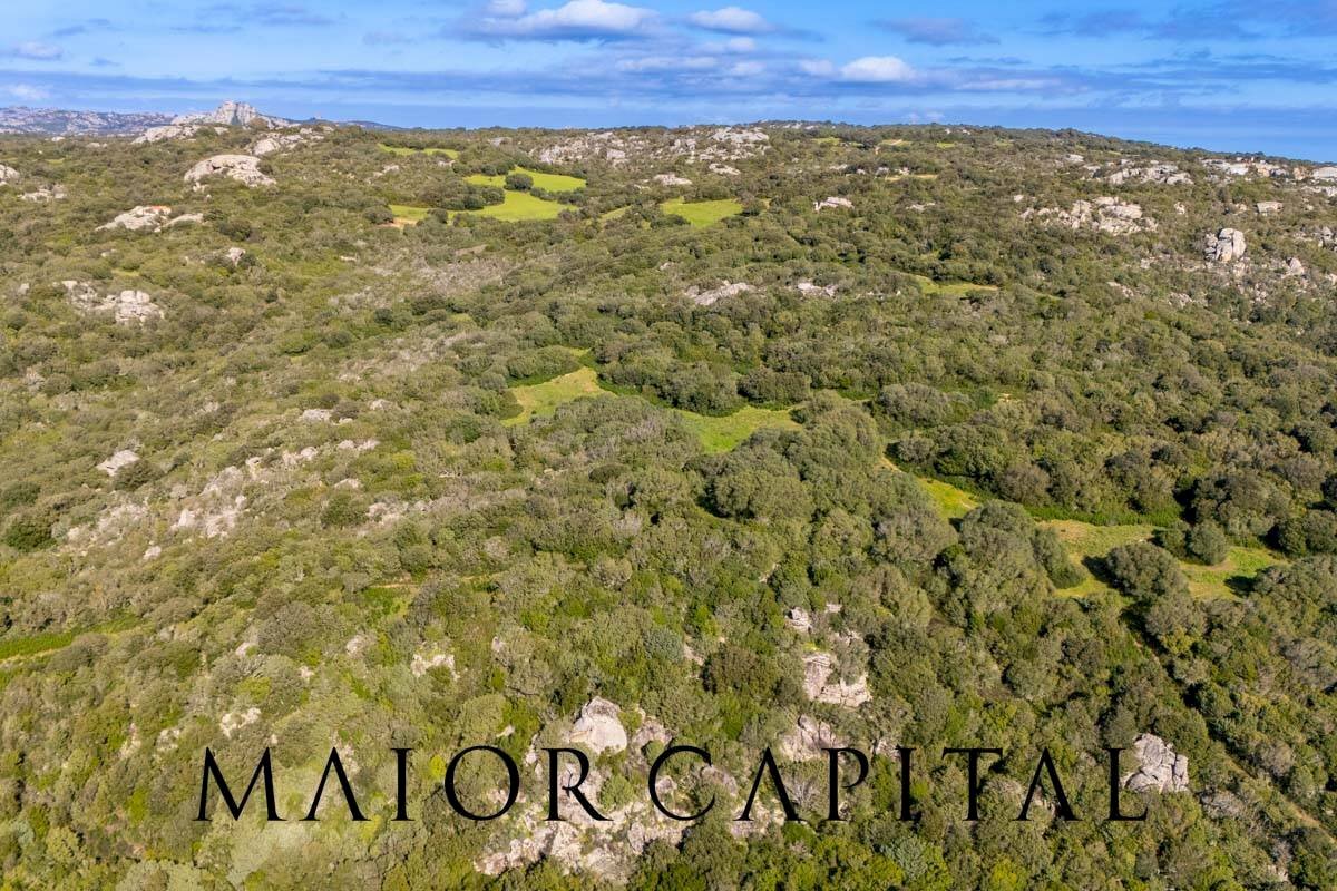 Foto 3 - Terreno agricolo Via Macciunitta, Arzachena - foto 3