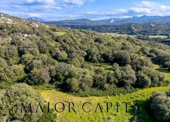 Foto 1 - Terreno agricolo Via Macciunitta, Arzachena - foto 1