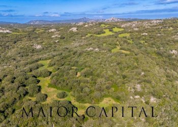 Foto 2 - Terreno agricolo Via Macciunitta, Arzachena - foto 2