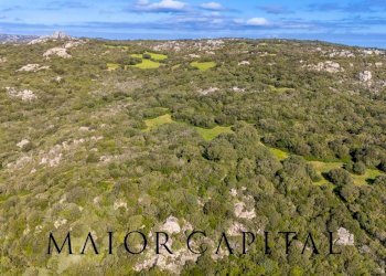 Foto 3 - Terreno agricolo Via Macciunitta, Arzachena - foto 3