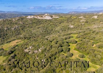 Foto 4 - Terreno agricolo Via Macciunitta, Arzachena - foto 4