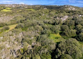 Foto 5 - Terreno agricolo Via Macciunitta, Arzachena - foto 5