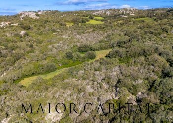 Foto 6 - Terreno agricolo Via Macciunitta, Arzachena - foto 6