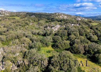 Foto 7 - Terreno agricolo Via Macciunitta, Arzachena - foto 7