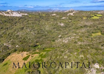 Foto 8 - Terreno agricolo Via Macciunitta, Arzachena - foto 8