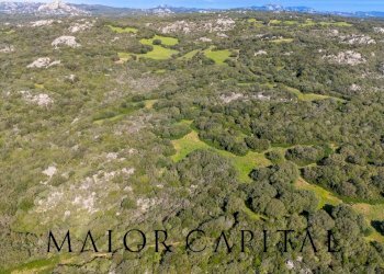 Foto 9 - Terreno agricolo Via Macciunitta, Arzachena - foto 9