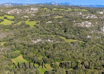 Foto 10 - Terreno agricolo Via Macciunitta, Arzachena - foto 10