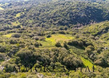 Foto 12 - Terreno agricolo Via Macciunitta, Arzachena - foto 12