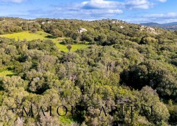 Foto 13 - Terreno agricolo Via Macciunitta, Arzachena - foto 13