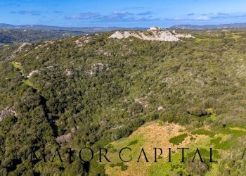 Foto 14 - Terreno agricolo Via Macciunitta, Arzachena - foto 14