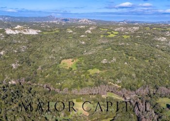 Foto 15 - Terreno agricolo Via Macciunitta, Arzachena - foto 15