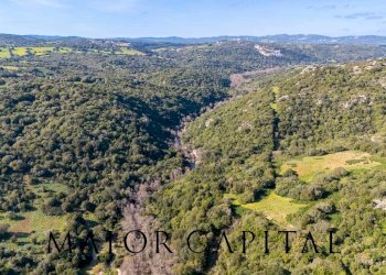 Foto 16 - Terreno agricolo Via Macciunitta, Arzachena - foto 16