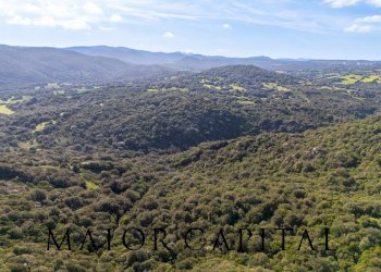 Foto 17 - Terreno agricolo Via Macciunitta, Arzachena - foto 17
