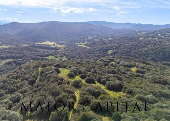 Foto 18 - Terreno agricolo Via Macciunitta, Arzachena - foto 18