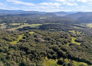 Foto 19 - Terreno agricolo Via Macciunitta, Arzachena - foto 19