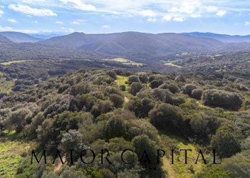 Foto 20 - Terreno agricolo Via Macciunitta, Arzachena - foto 20