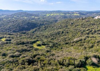 Foto 22 - Terreno agricolo Via Macciunitta, Arzachena - foto 22