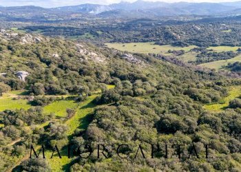 Foto 23 - Terreno agricolo Via Macciunitta, Arzachena - foto 23