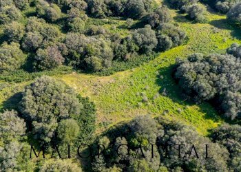 Foto 24 - Terreno agricolo Via Macciunitta, Arzachena - foto 24