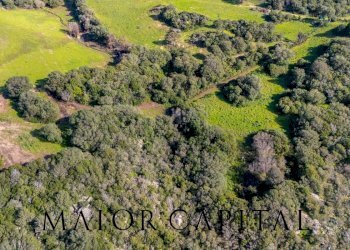 Foto 25 - Terreno agricolo Via Macciunitta, Arzachena - foto 25