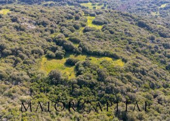 Foto 26 - Terreno agricolo Via Macciunitta, Arzachena - foto 26