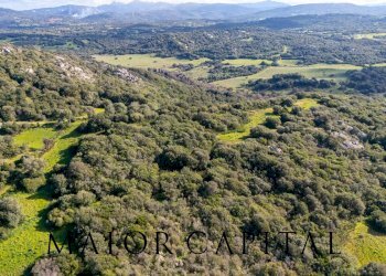 Foto 27 - Terreno agricolo Via Macciunitta, Arzachena - foto 27