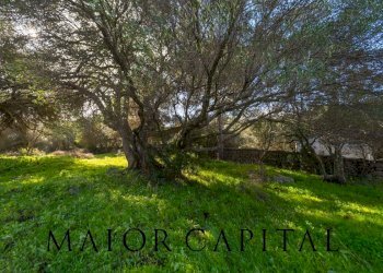 Foto 19 - Independent house Via Stazzu Lu Palazzu, Olbia - photo 19