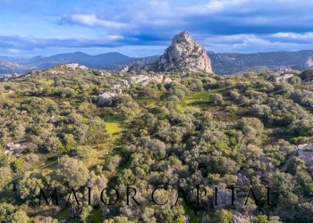 Foto 27 - Independent house Via Stazzu Lu Palazzu, Olbia - photo 27