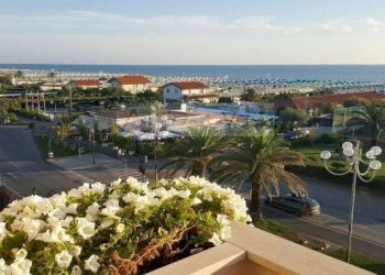 Foto 6 - Capannone Pietrasanta - foto 6