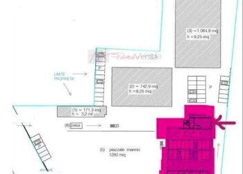 Foto 11 - Capannone Pietrasanta - foto 11