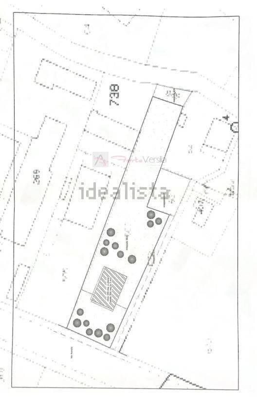 Foto 2 - Capannone Pietrasanta - planimetria 1