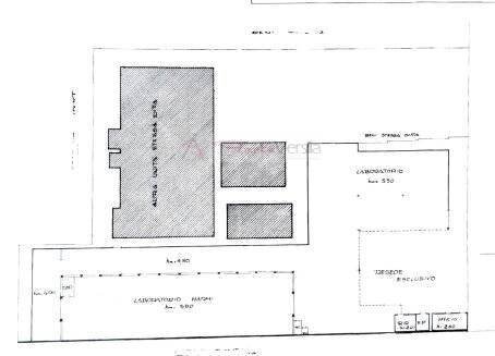 Foto 2 - Capannone Pietrasanta - planimetria 1