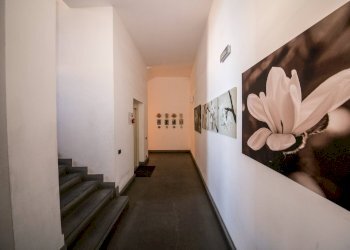 Foto 43 - Quadrilocale Via Paolo Maspero
 
20, Milano - foto 43