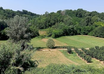 Foto 55 - Rustico frazione Castiglione Asti
 
229 - 230, Asti - foto 55