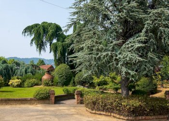 Foto 1 - Hotel Strada Chieri, Pecetto Torinese - foto 1