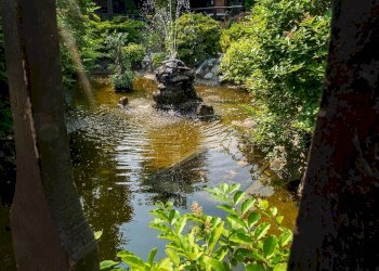 Foto 8 - Hotel Strada Chieri, Pecetto Torinese - foto 8