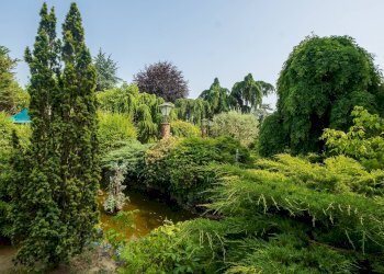 Foto 9 - Hotel Strada Chieri, Pecetto Torinese - foto 9