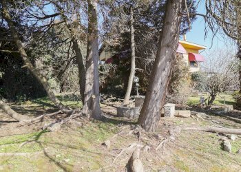 Foto 54 - Villa Strada Castelvecchio
 
21, Moncalieri - foto 54